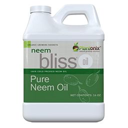 Neem Bliss Preview